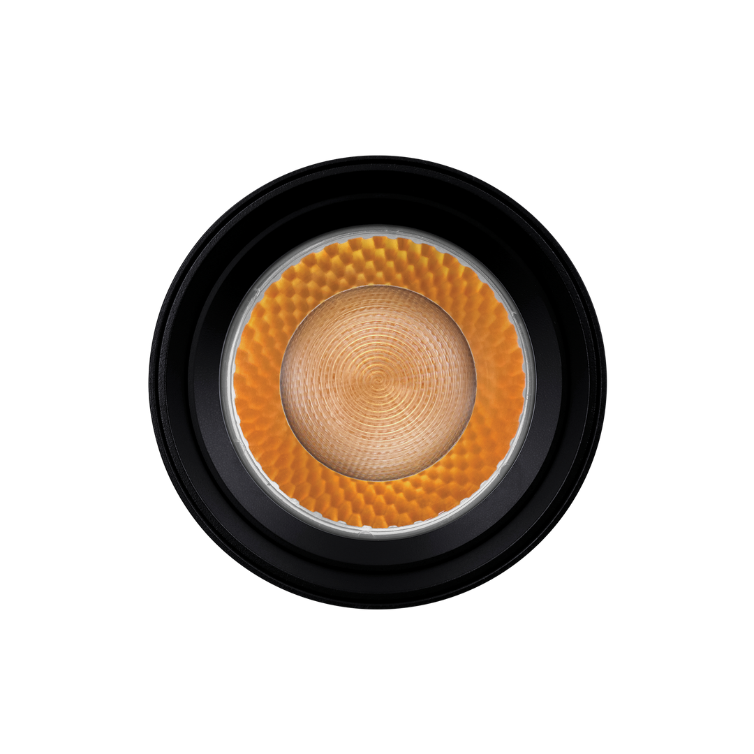 LR43874 – Luxrite