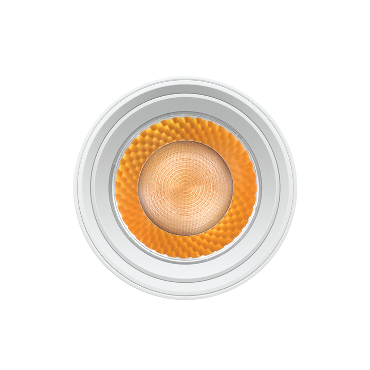 LR43875 – Luxrite